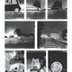 Image: Fantagraphics